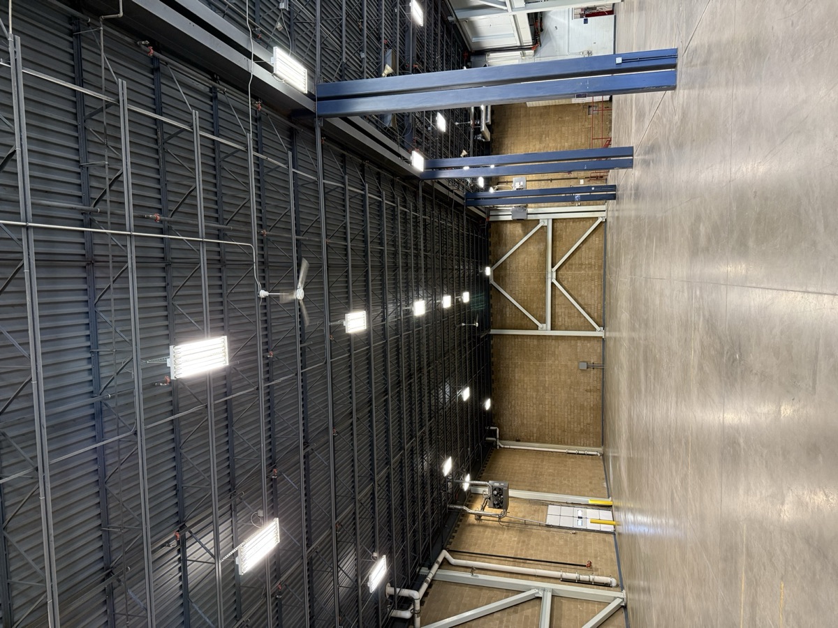 Commercial Lighting Services